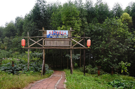大王叫我來巡山