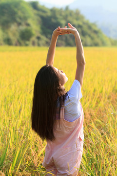 稻香 清晨陽光