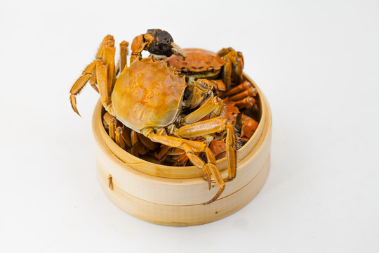 美味大閘蟹