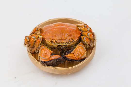 大閘蟹