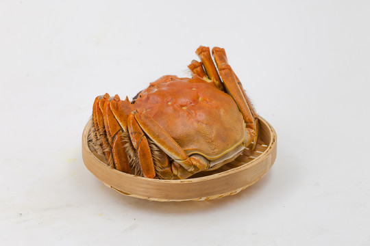 水產(chǎn) 湖鮮
