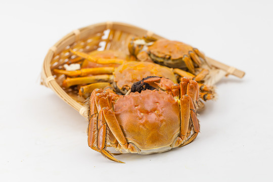 大閘蟹