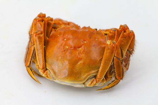 大閘蟹