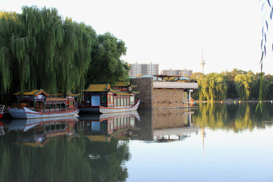 公園風(fēng)光