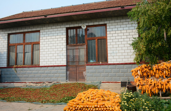 農(nóng)家小院