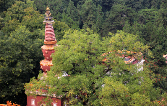 佛塔