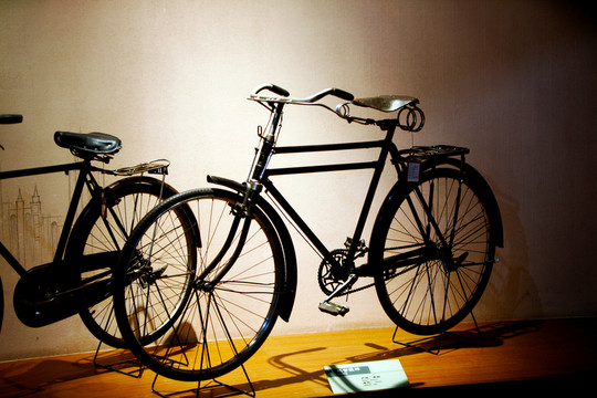 自行車 賽車 山地車 單車展