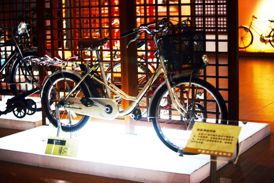 自行車 賽車 山地車 單車展