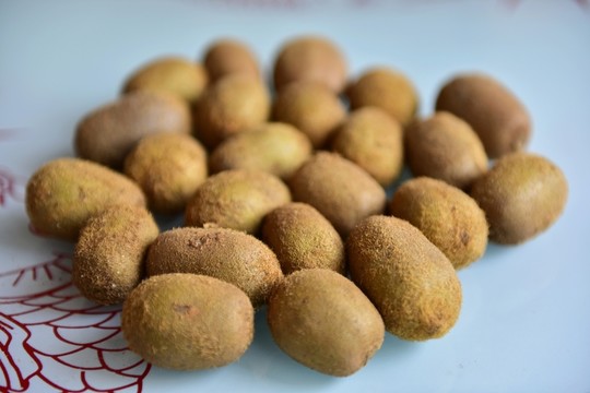 美味野生獼猴桃