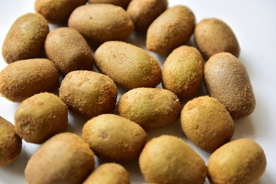 季節(jié)蔬果野生獼猴桃