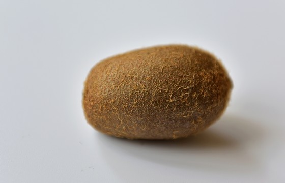 季節(jié)蔬果野生獼猴桃