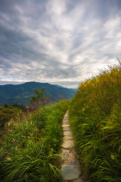 龍脊梯田