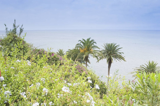 馬德拉海岸