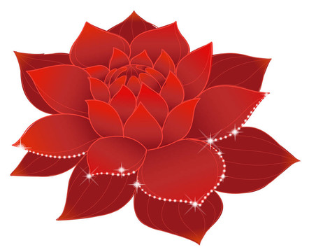 蓮花