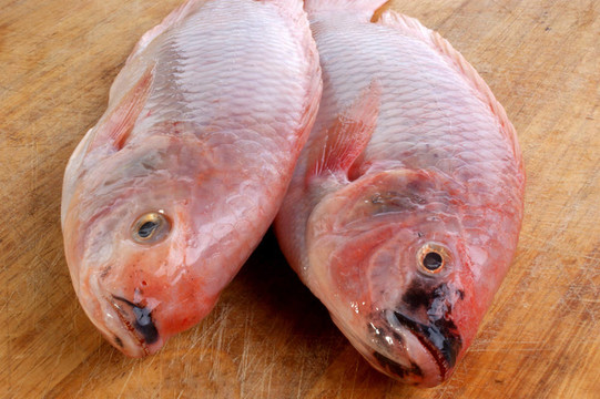 兩個(gè)新鮮的有機(jī)非洲羅非魚木材板