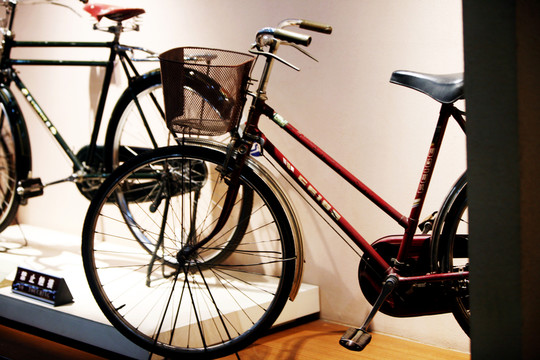 自行車(chē) 賽車(chē) 山地車(chē) 單車(chē)展