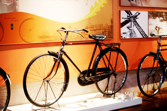自行車(chē) 賽車(chē) 山地車(chē) 單車(chē)展