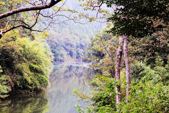 綠湖 美景