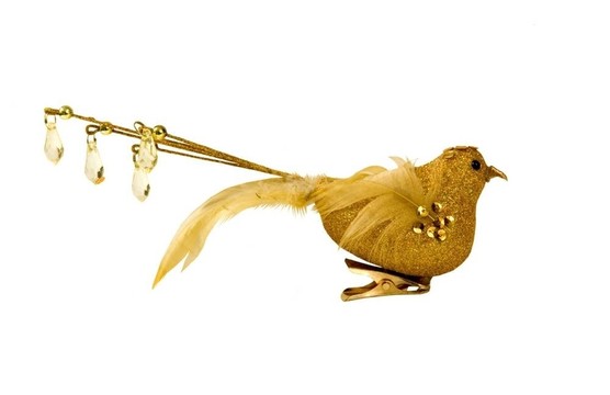 用金色的鳥
