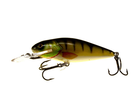 老格林釣鱸魚(yú)的搖擺