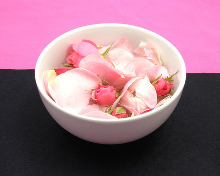粉紅色和黑色背景上的玫瑰花蕾和花瓣