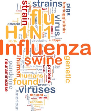 甲型H1N1流感的背景概念