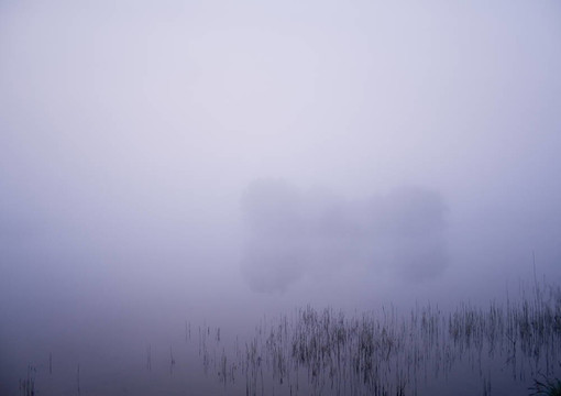 雾湖