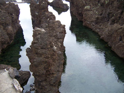 在豐沙爾岸邊的巖石；Madeira。