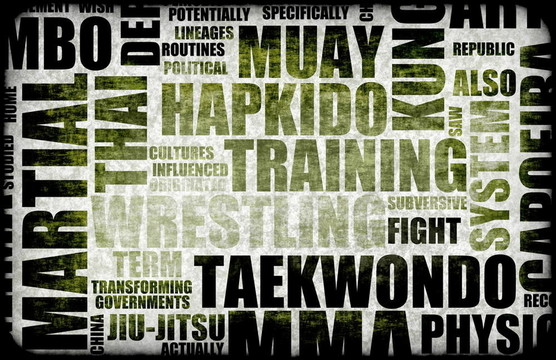 Tae Kwon做的