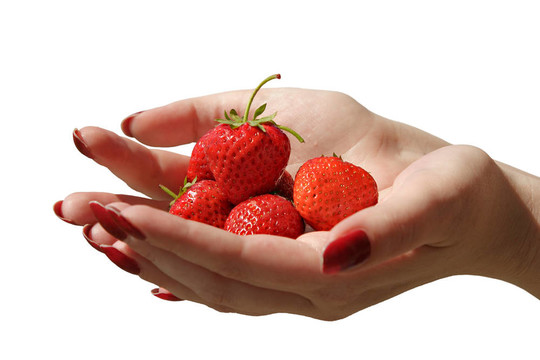 Strawberry的手