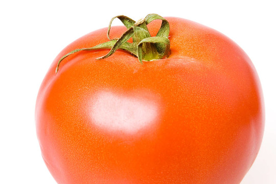 白色背景上的番茄。