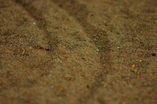 軌道在沙