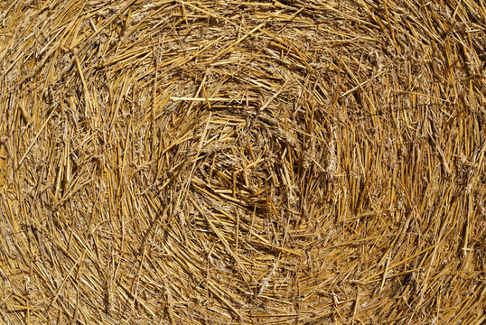 Straw Bale的紋理