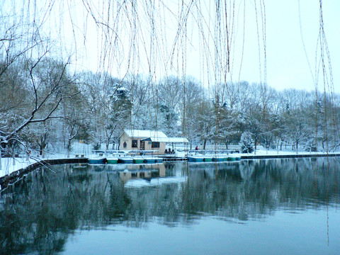 公園雪景