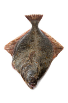 掙扎