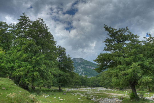 田野；Mountains；春景