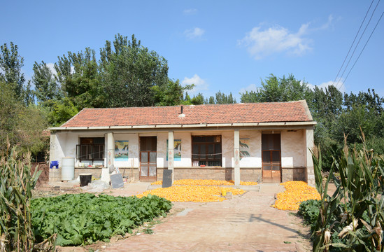 農(nóng)家院