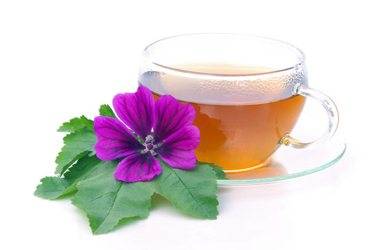 茶錦葵06