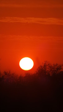 夕陽(yáng)