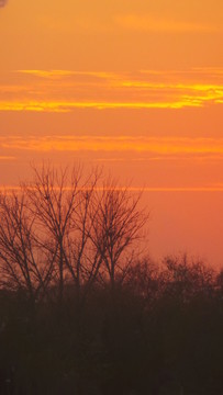 夕陽(yáng)