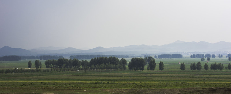 原野 田地 樹木