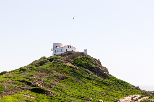 科西嘉島風(fēng)光