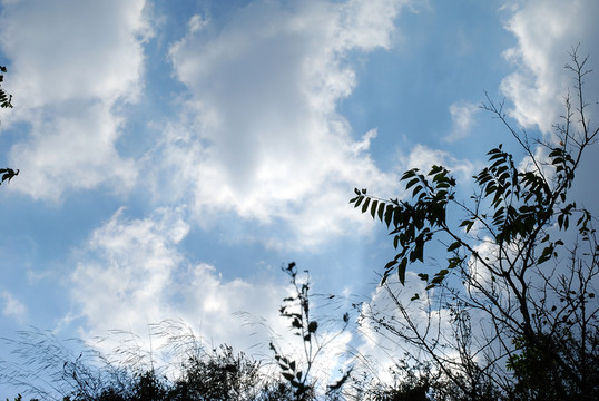天空