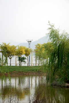 湖畔小景