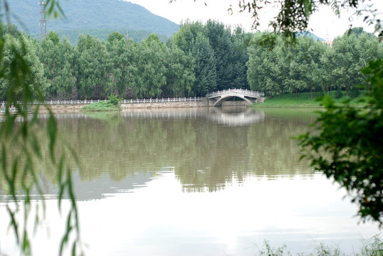 石橋