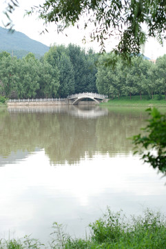 石橋