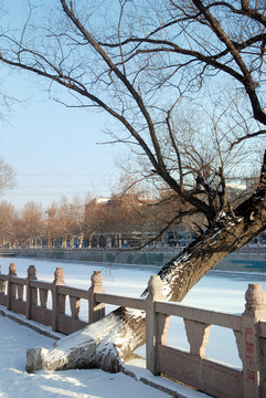 雪后