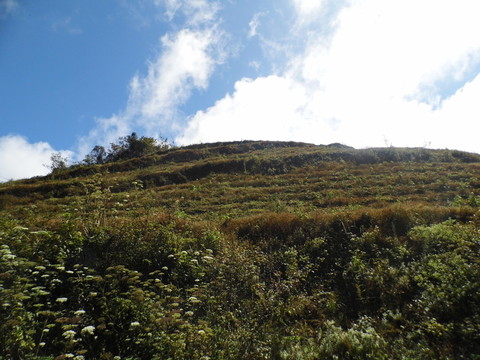仰望高山