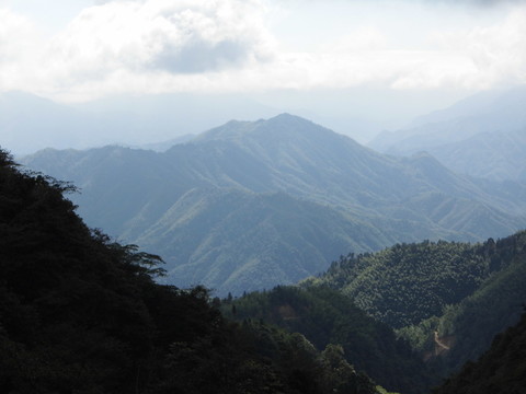 高山云霧
