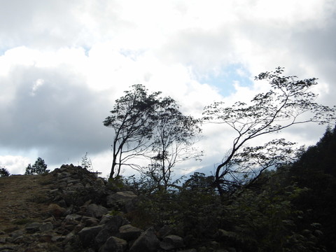 山中風(fēng)景
